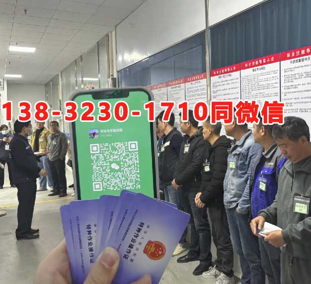 電工證電子版查詢入口(2025年)